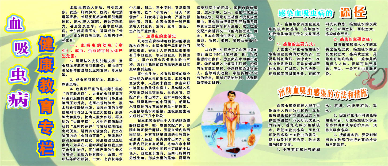 610海报印制海报展板素材187健康教育专栏血吸虫病途径知识