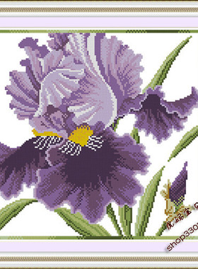 DMC十字绣静物花卉ZP172紫色浪漫 鸢尾cross stitch
