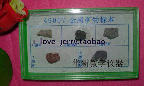 金属矿物标本 49007 小学科普生物标本 （铜 、铁、铝、钨、锡）