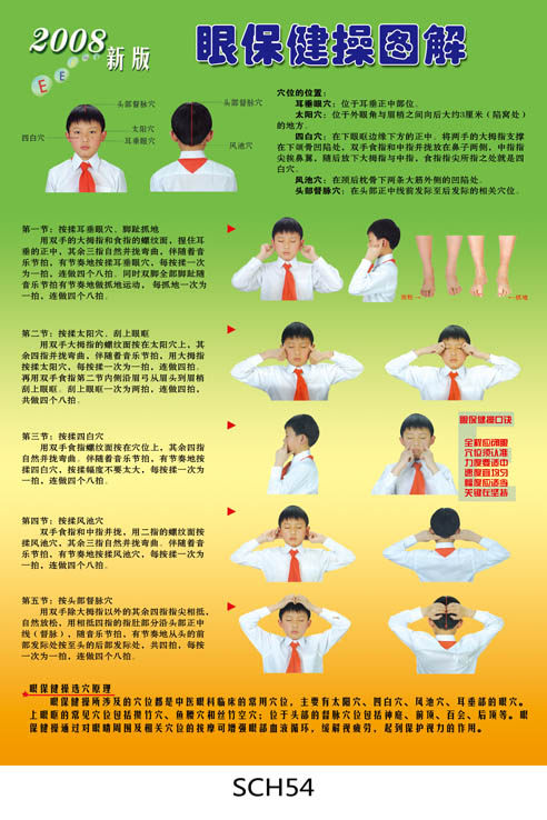 眼保健操挂图/爱眼口诀/2008新版眼保健操图解/保护视力贴画sch54