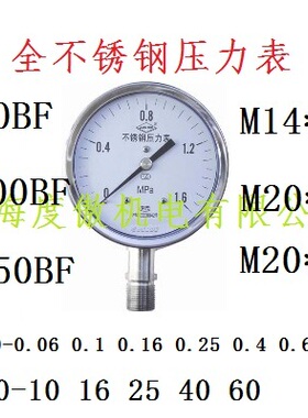 全不锈钢压力表Y-100BF 0-060Mpa