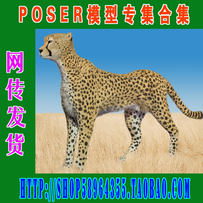 Poser模型专集——动物 2DVD (3M-087)