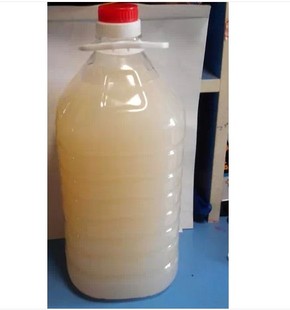 正品大桶5000ml 力度乒乓球专用胶水 5L胶水 大桶五