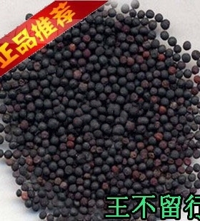 王不留行500g包邮中药材可炒王不留行籽子搭通草路路通黄芪党参