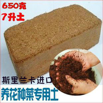 有机种花种菜种植土 爬宠垫材 椰粉砖 椰砖 椰土 650g+ 阳台种菜