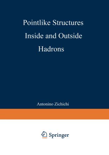 【预订】Pointlike Structures Inside and Outs...