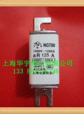 独立式螺丝安装 快速熔断器NGTOO-125A 方管刀形触头NGT00-125A