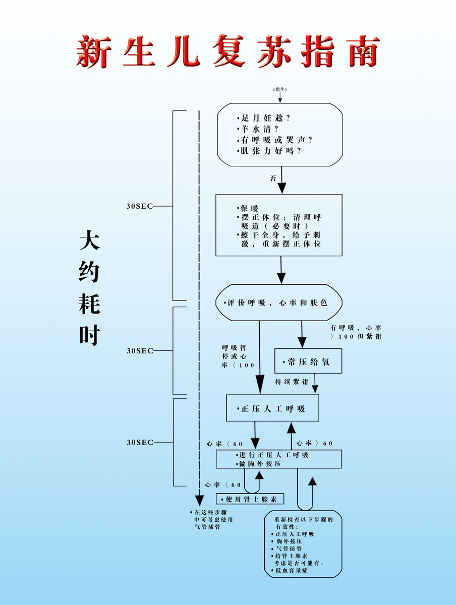 602海报印制海报展板素材193医院新生儿复苏指南流程图