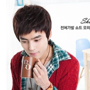 Perruque cheveux raides Court - Ref 2610112 Image 1