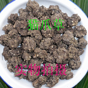 中药材野生 猫爪草  100-500克另有八角:莲半枝莲