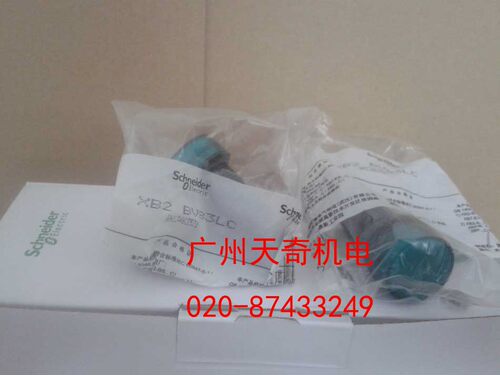 正品全新Schneider施耐德绿色指示灯 XB2-BVM3LC XB2BVM3LC 220V