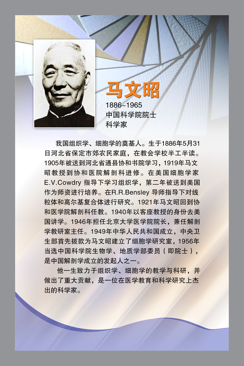 609海报印制海报展板素材388名人名言版面科学家马文昭简介