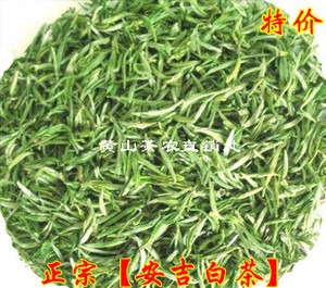 2023年新茶绿茶 正宗安吉特产白茶特惠价清香味醇500g茶叶包邮