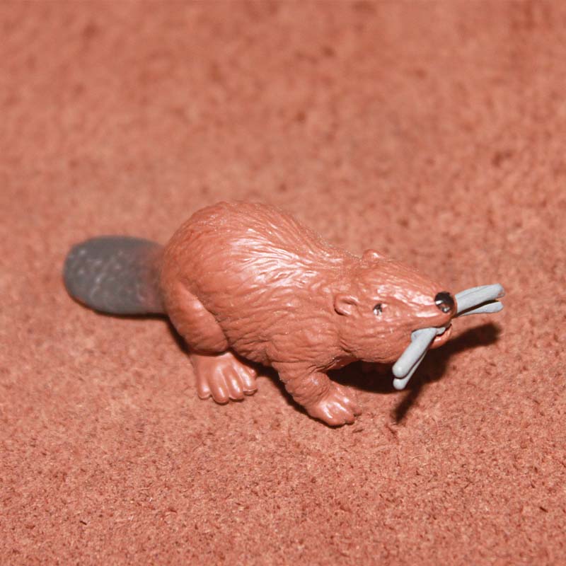 SAFARI仿真动物模型玩具野生