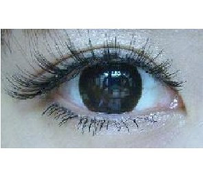 浓密眼尾加长款假睫毛