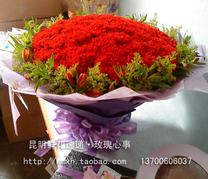 昆明同城送花鲜花速递昆明-昆明鲜花-母亲节鲜花-99枝红康