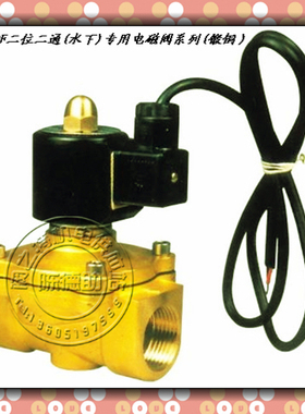 三力信不锈钢水下专用电磁阀防水跑泉喷泉电磁阀SLDF DN10 15 50