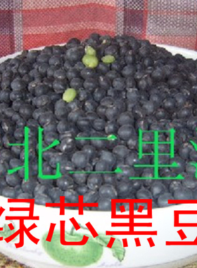 东北黑豆绿芯绿心黑豆农家青仁黑豆发芽打豆浆新货500g醋泡绿芯