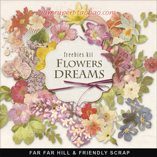 剪贴免扣PNG素材12P高清淡雅复古手绘花朵淡彩无背景插画素材Y283