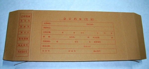 特价正品 金蝶表单凭证打印纸/套打纸/金蝶凭证盒两边PZH101L