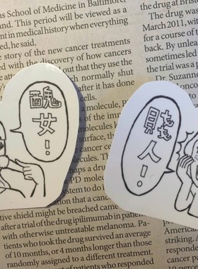 kuso 丑女贱人系列箱贴 手工贴纸