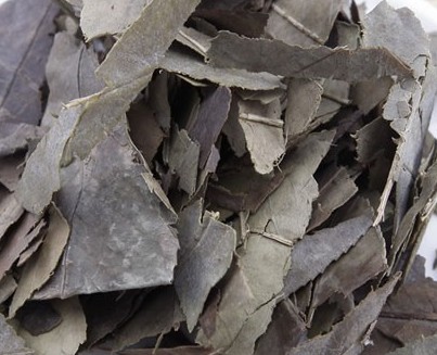 石楠叶石楠叶粉石眼树叶老少年叶凿树石纲500g