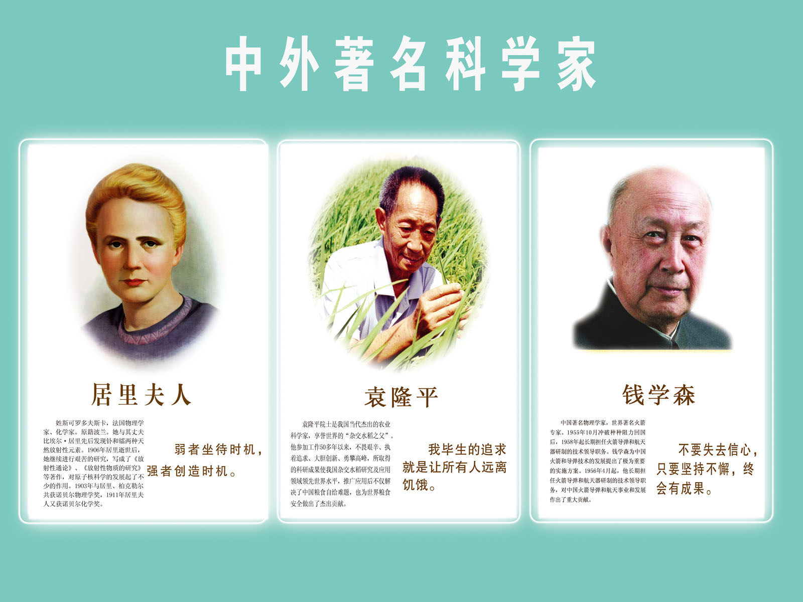 617海报印制海报展板素材30科学家简介贴纸图片
