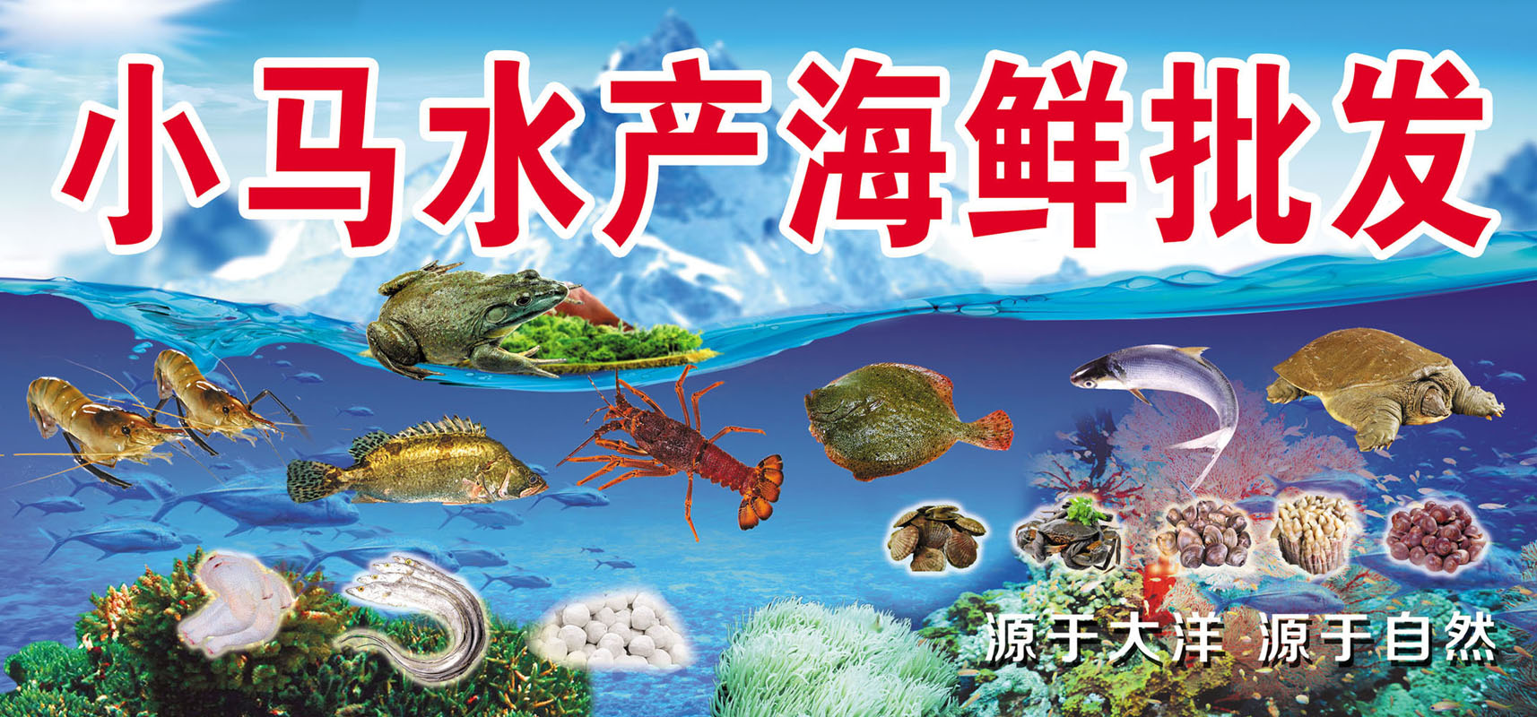 查看源网页