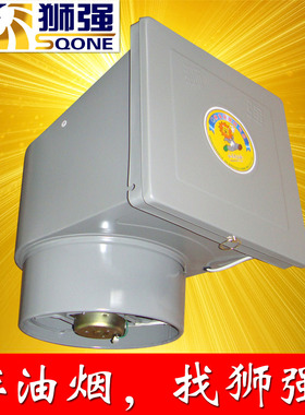 狮强牌厨房油烟排气扇排风换气扇10寸窗式静音强力洁王抽吸机S601