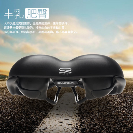 Selle de vélo Mountain Bike SELLE ROYAL - Ref 2348571 Image 1