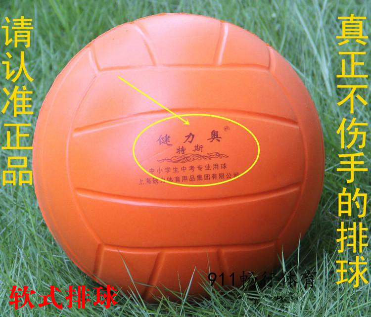 Ballon de volley - Ref 2008649 Image 1