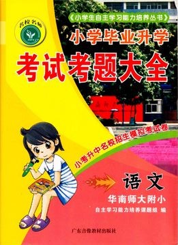 小学毕业升学考试考题大全小升中名校招生模拟考试卷语文华南师大附小编小学毕业总复习语文