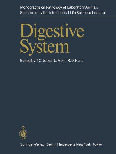 美国库房发货,通常付款后5-8周到货！