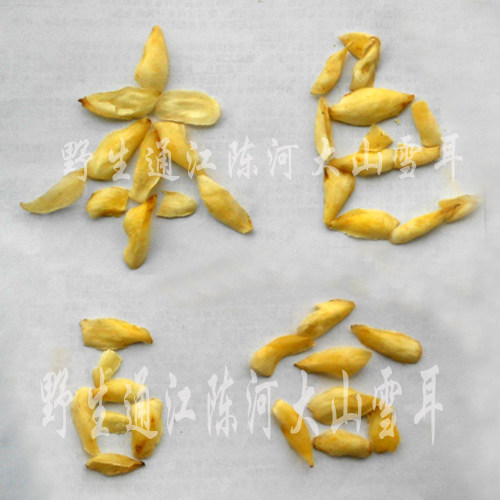 通江本色野生百合干食用药百合功效百合干无硫干货250g农家货香糯