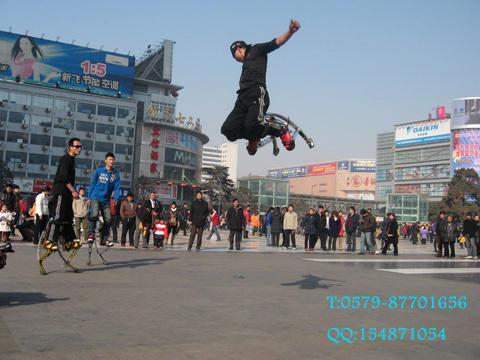 Echasses - jumper - Ref 2576082 Image 1
