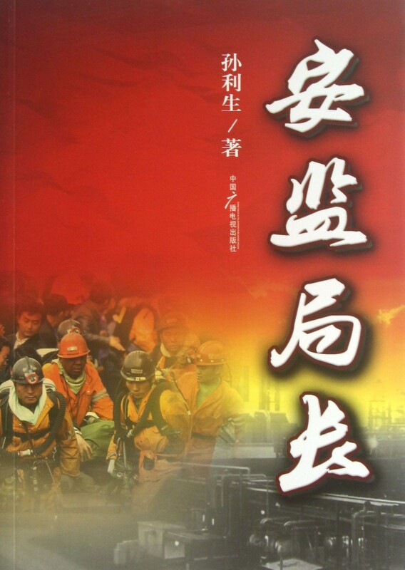安监局长 小说 博库网