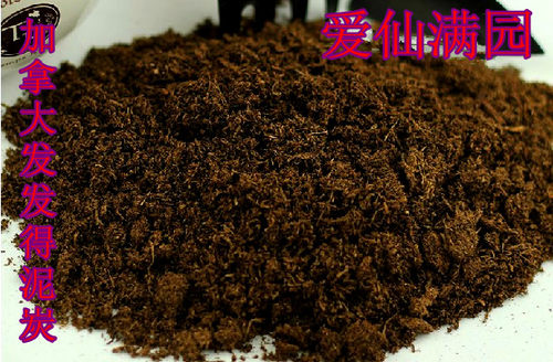 进口加拿大种植多肉苔藓5包包邮