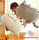 可爱猫咪抱枕靠垫毛绒玩具布偶喵星人公仔布娃娃玩偶沙发靠枕韩国