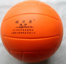 Ballon de volley - Ref 2011917 Image 1