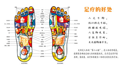 569海报印制海报展板素材300脚底穴位图足疗的好处 非高清图