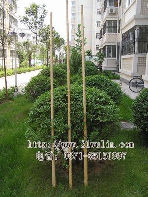 [宁陵正品白蜡杆武术]： 齐眉棍 六点半棍 少林棍长180厘米