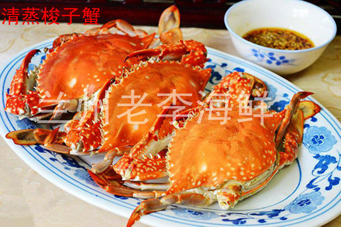 兰州老李海鲜 鲜活梭子蟹  肉蟹