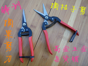 桔子剪/摘果剪/修枝剪/采摘剪刀/枝叶剪/果树果园剪刀/农资产品