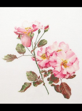 刘年锦绣 正品DMC线R线十字绣  非印花 TG 412 粉玫瑰