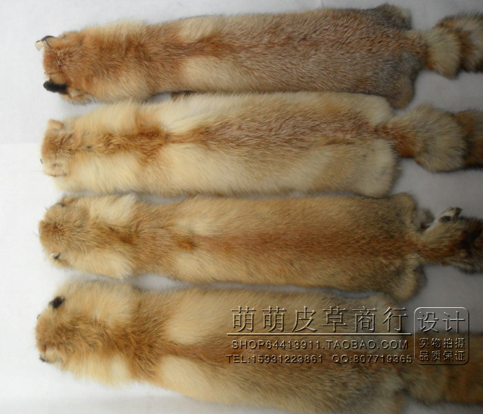 皮草围脖草狐男女通用整只狐狸毛围巾真皮毛领子冬季整条红狐披肩