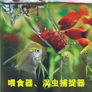 草丛工场亚克力 裤形喂食器、涡虫捕捉器 红线虫红虫杯 满百包邮