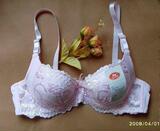 Fixation pour soutien-gorge - Ref 821126 Image 50