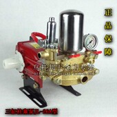 老品牌熊猫农药三缸2652型喷雾器柱塞泵农用打药汽油机高压力泵头