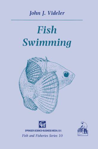 【预订】Fish Swimming