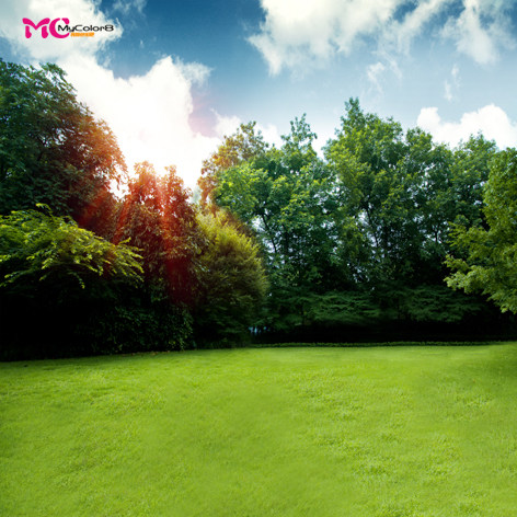 mycolor8 PS 婚纱 影楼摄影背景 风景 主题 素材图片14-312